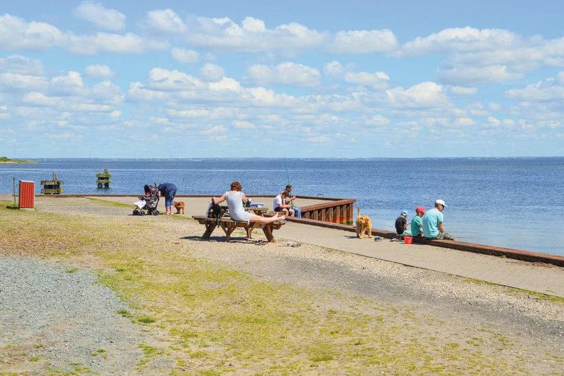 Foto von Ferienhaus FF00 in Hvide Sande - Westjütland