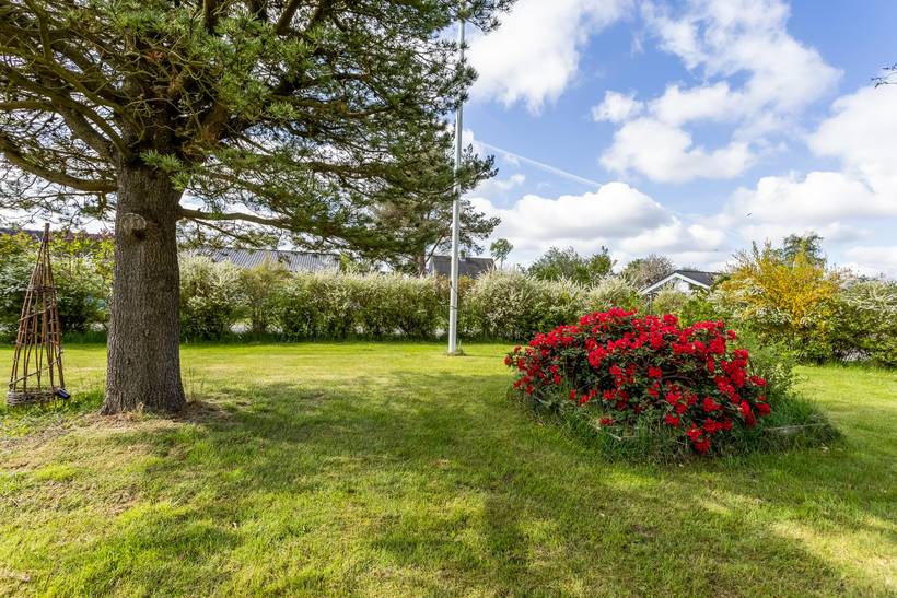 Foto von Ferienhaus FF24 in Faxe - Stevns - Südseeland