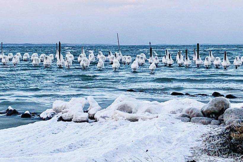 Foto von Ferienhaus FF35 in Hejlsminde - Südjütland