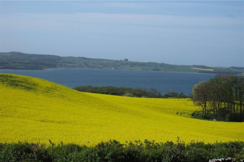Foto von Ferienhaus FF57 in Mols - Ostjütland