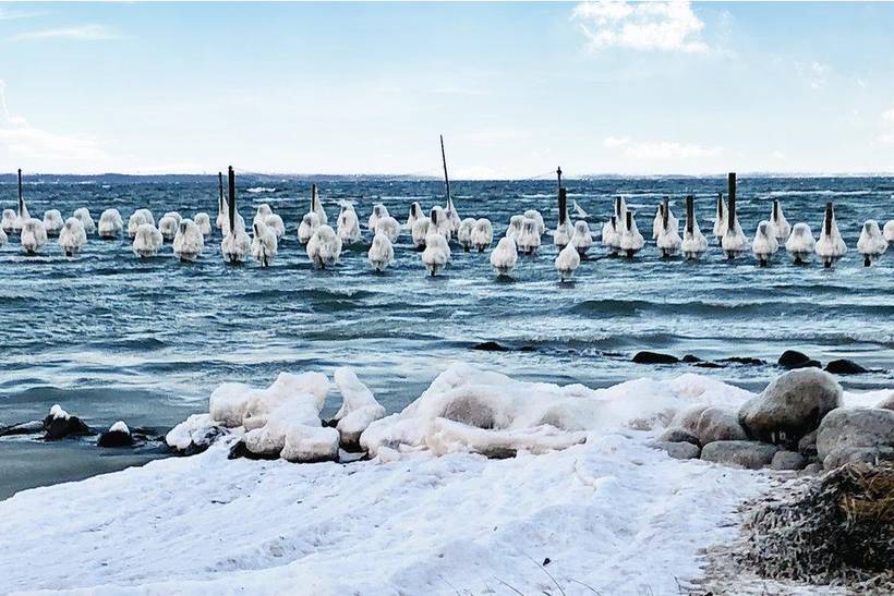 Foto von Ferienhaus FF60 in Hejlsminde - Südjütland