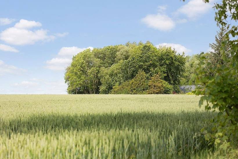 Foto von Ferienhaus FG17 in Mommark - Als