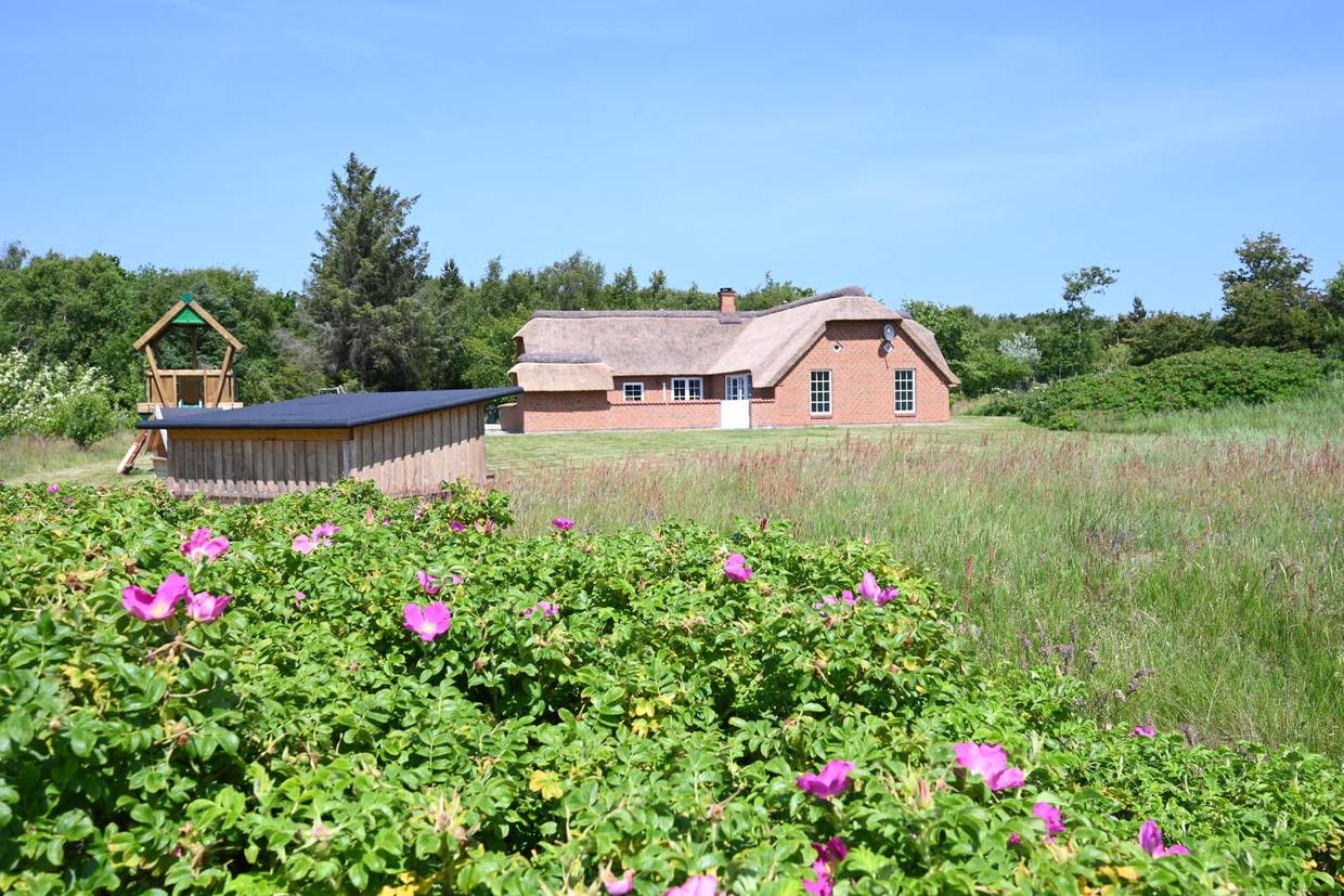 Foto von Ferienhaus FG29 in Vester Husby - Westjütland
