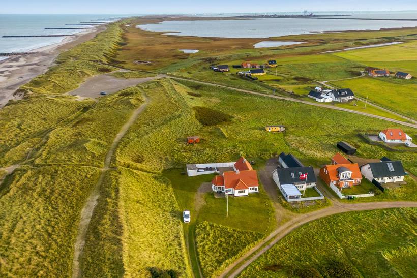 Foto von Ferienhaus FG38 in Langerhuse - Vejlby Klit - Westjütland