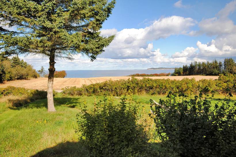 Foto von Ferienhaus FG47 in Fur - Thy/Limfjord