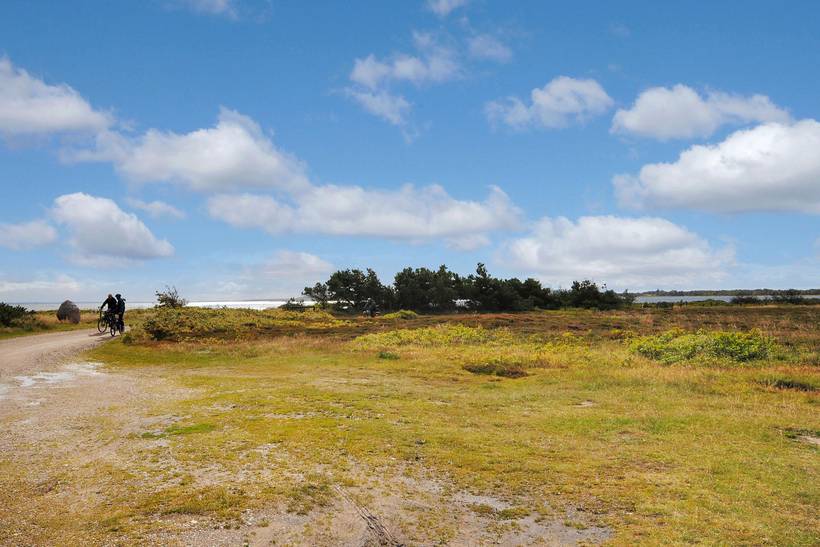 Foto von Ferienhaus FG47 in Fur - Thy/Limfjord
