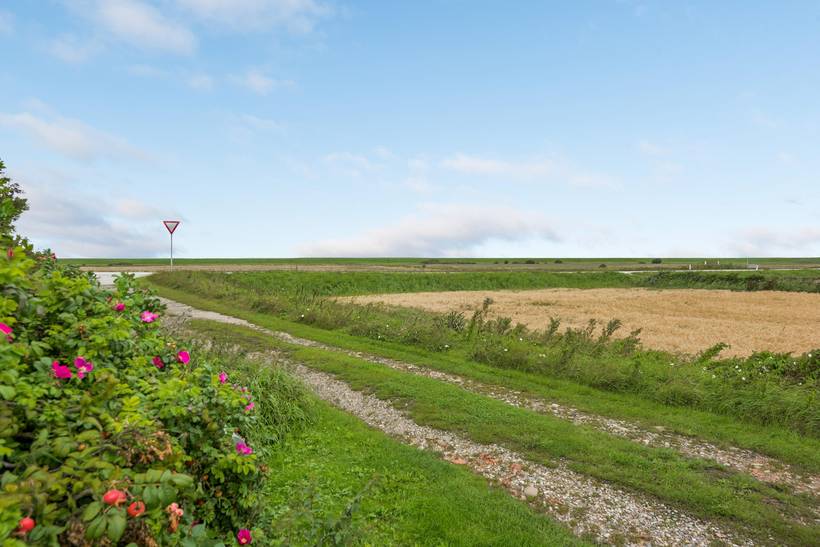 Foto von Ferienhaus FG86 in Ballum - Südjütland
