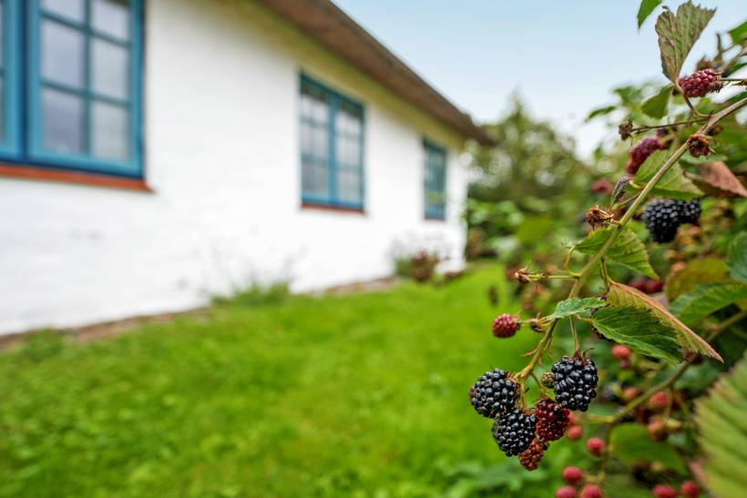 Foto von Ferienhaus FG86 in Ballum - Südjütland