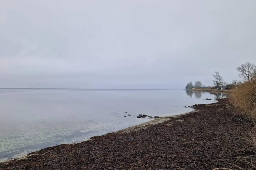 Foto von Ferienhaus FG91 in Hasmark - Nordfünen