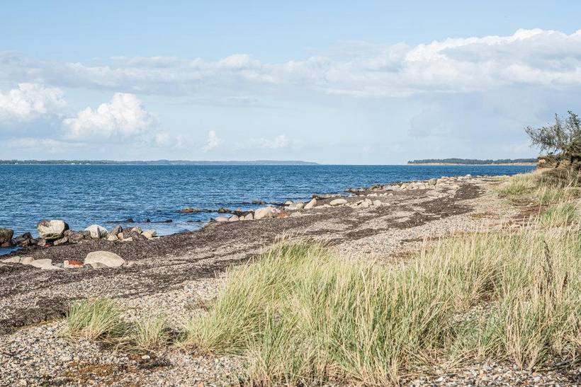 Foto von Ferienhaus FH04 in Vadum - Thy/Limfjord
