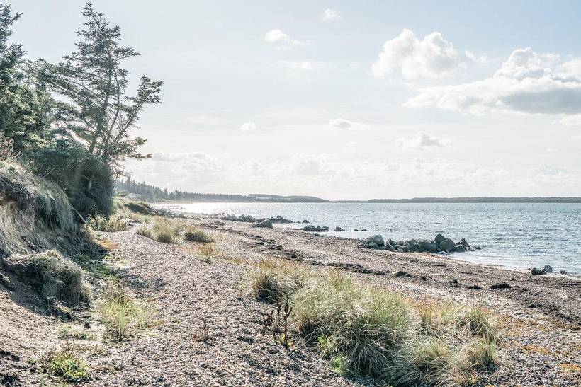 Foto von Ferienhaus FH04 in Vadum - Thy/Limfjord