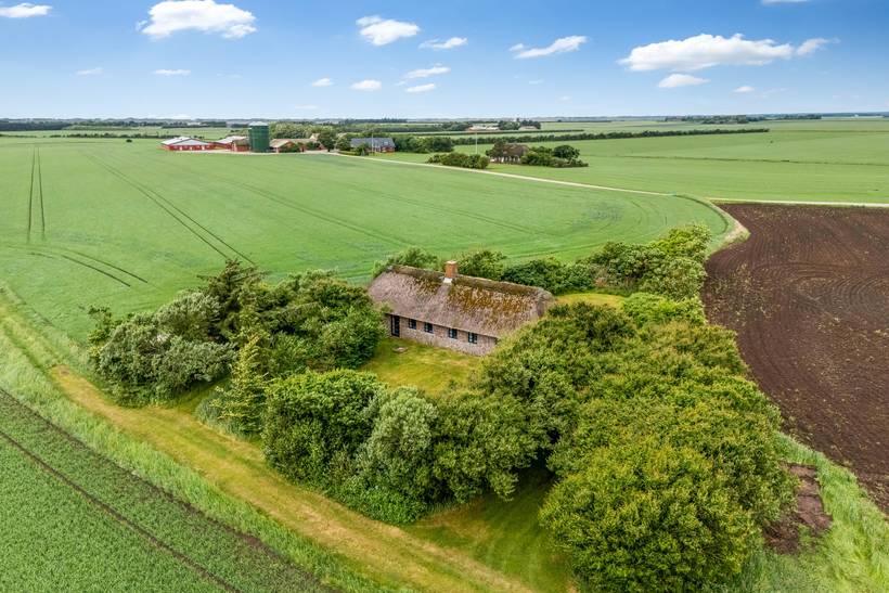 Foto von Ferienhaus FH06 in Vester Husby - Westjütland