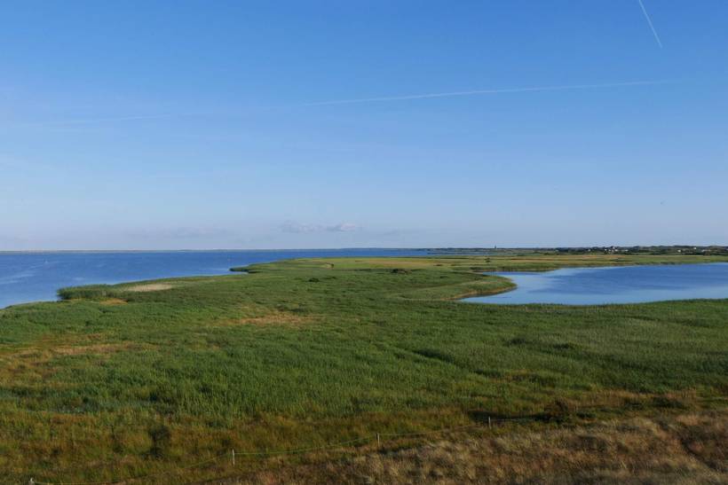 Foto von Ferienhaus FH82 in Skodbjerge - Bjerregård - Westjütland