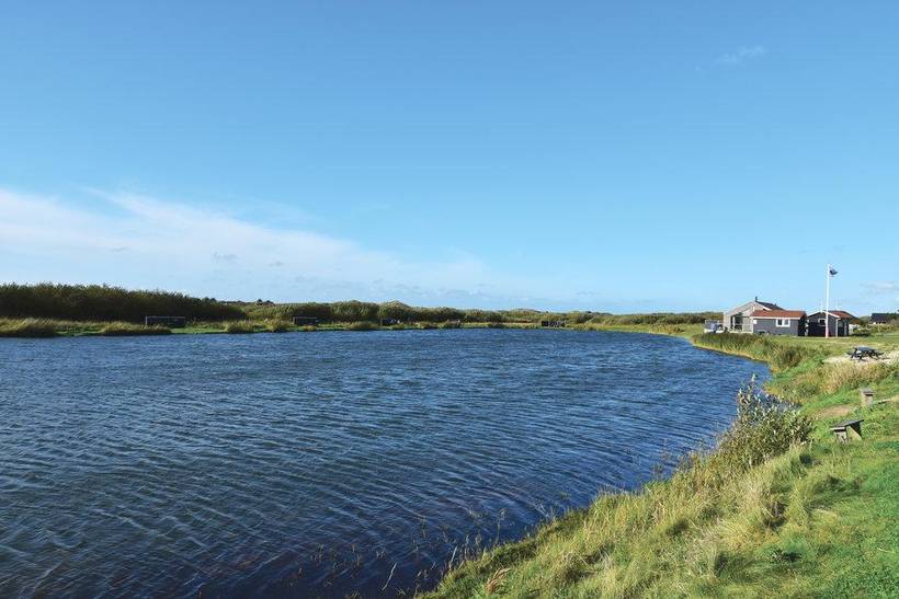 Foto von Ferienhaus FH95 in Søndervig - Westjütland