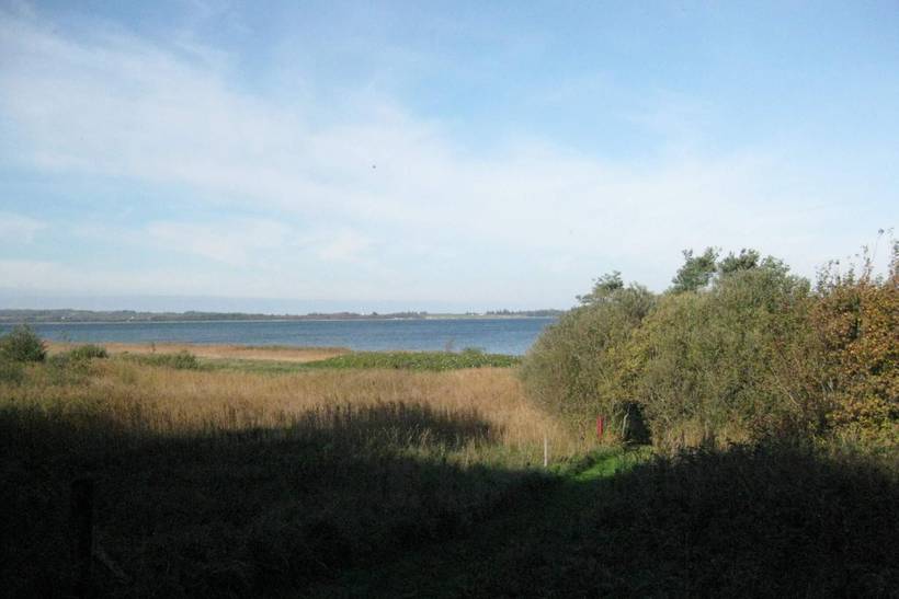 Foto von Ferienhaus FI00 in Eskov Strandpark - Thy/Limfjord