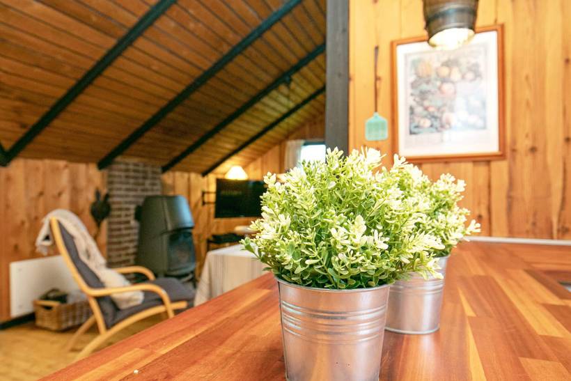 Foto von Ferienhaus FI00 in Eskov Strandpark - Thy/Limfjord