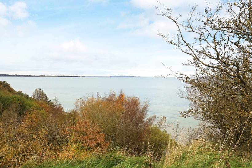 Foto von Ferienhaus FI00 in Eskov Strandpark - Thy/Limfjord