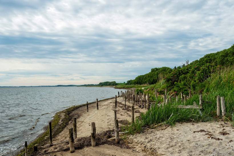 Foto von Ferienhaus FI00 in Eskov Strandpark - Thy/Limfjord