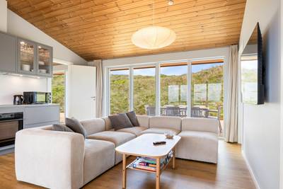 Vorschaubild von Ferienhaus FI42 in Haurvig - Bjerregård - Westjütland