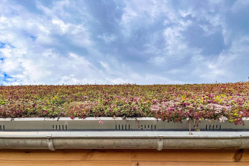 Foto von Ferienhaus FI42 in Haurvig - Bjerregård - Westjütland