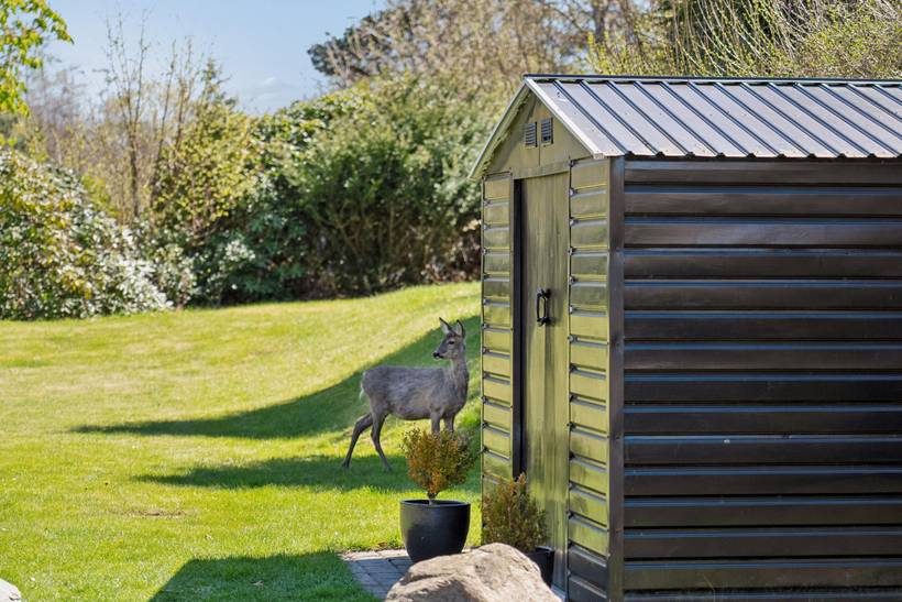 Foto von Ferienhaus FI80 in Rågeleje - Nordseeland