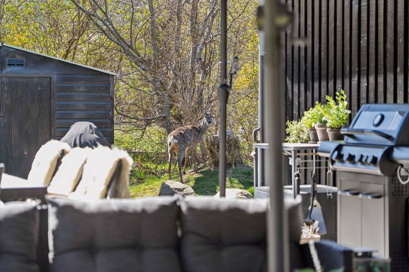 Foto von Ferienhaus FI80 in Rågeleje - Nordseeland