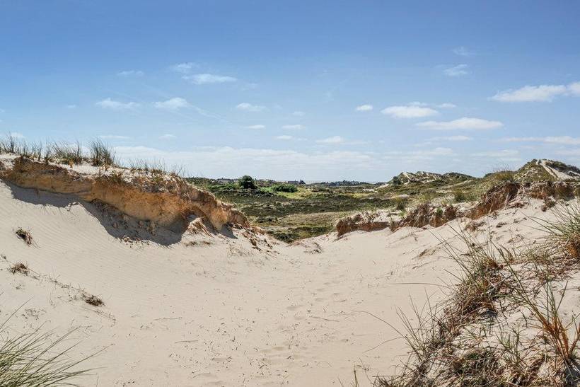 Foto von Ferienhaus FJ17 in Sønderho - Fanø
