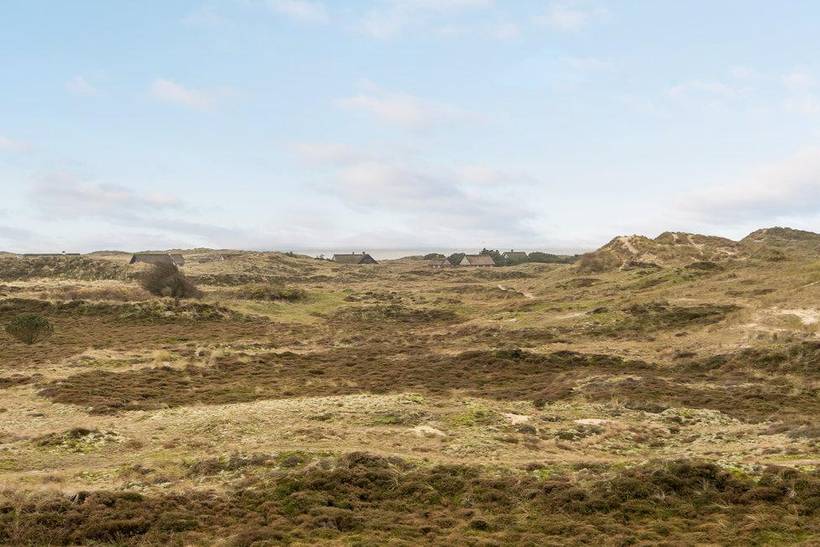 Foto von Ferienhaus FJ17 in Sønderho - Fanø