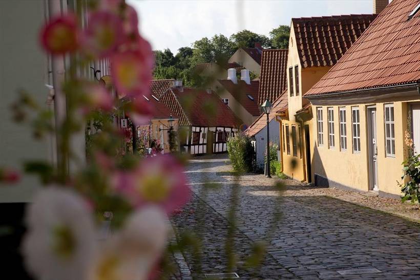 Foto von Ferienhaus FJ18 in Ebeltoft - Ostjütland