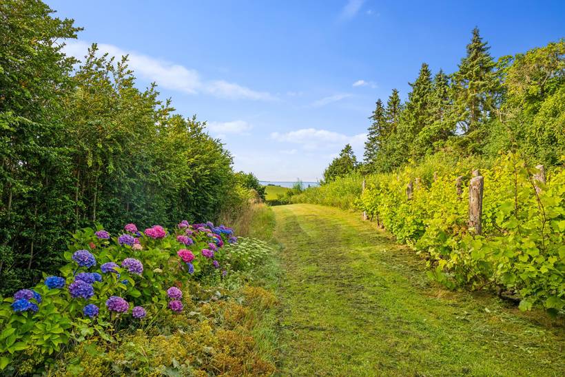 Foto von Ferienhaus FJ43 in Følle - Ostjütland