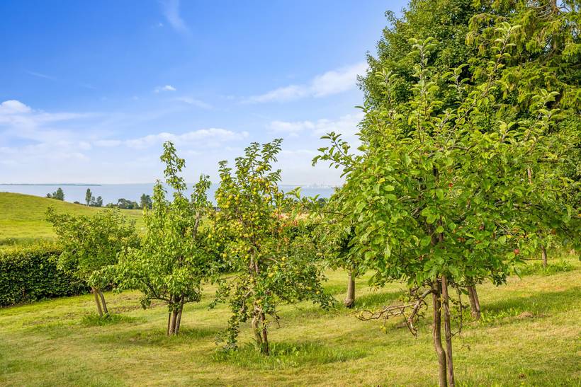 Foto von Ferienhaus FJ43 in Følle - Ostjütland