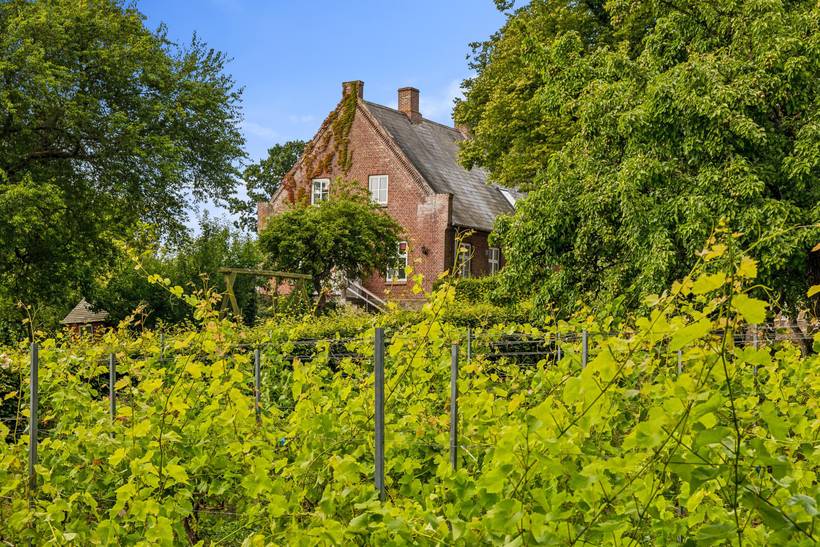 Foto von Ferienhaus FJ43 in Følle - Ostjütland