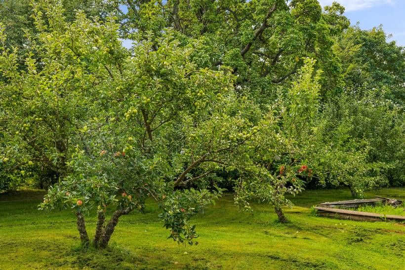 Foto von Ferienhaus FJ43 in Følle - Ostjütland