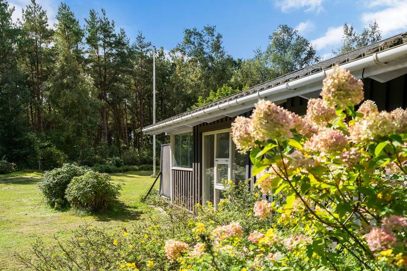 Foto von Ferienhaus FJ71 in Lyngså - Nordjütland Ost