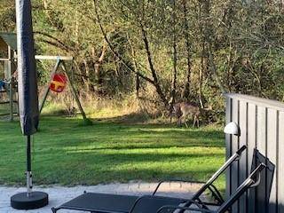 Foto von Ferienhaus FK55 in Bolilmark - Rømø