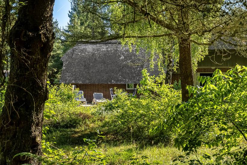 Foto von Ferienhaus FK83 in Sønderstrand - Rømø