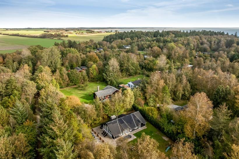 Foto von Ferienhaus FK89 in Amtoft - Thy/Limfjord