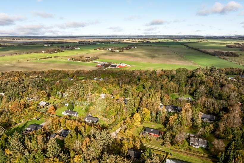 Foto von Ferienhaus FK89 in Amtoft - Thy/Limfjord