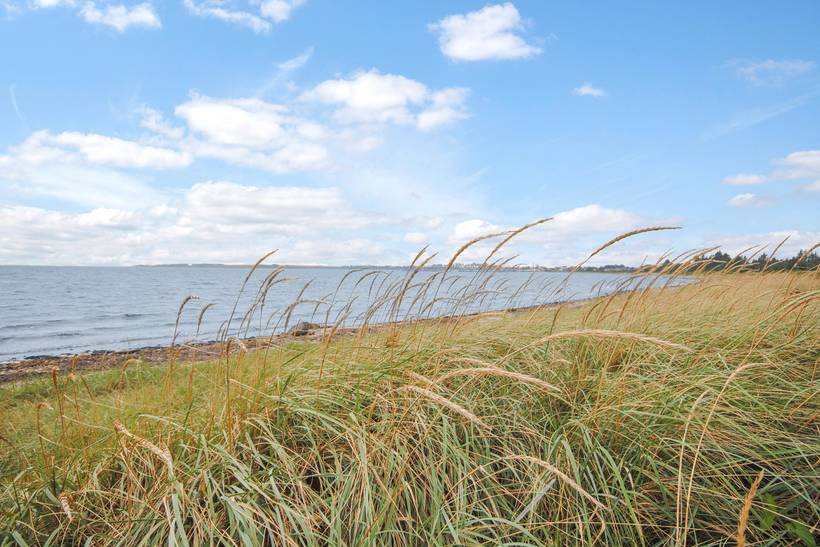 Foto von Ferienhaus FK89 in Amtoft - Thy/Limfjord
