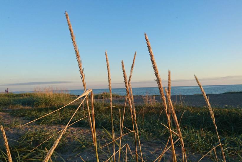 Foto von Ferienhaus FL08 auf Karrebæksminde - Enø - Südseeland