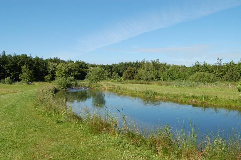 Foto von Ferienhaus FL70 in Arrild - Südjütland