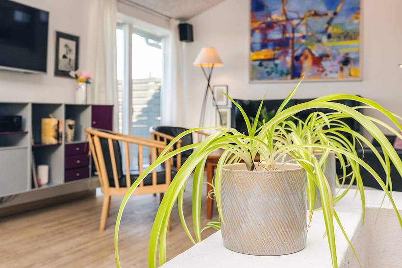 Foto von Ferienhaus FM12 in Løkken - Nordjütland