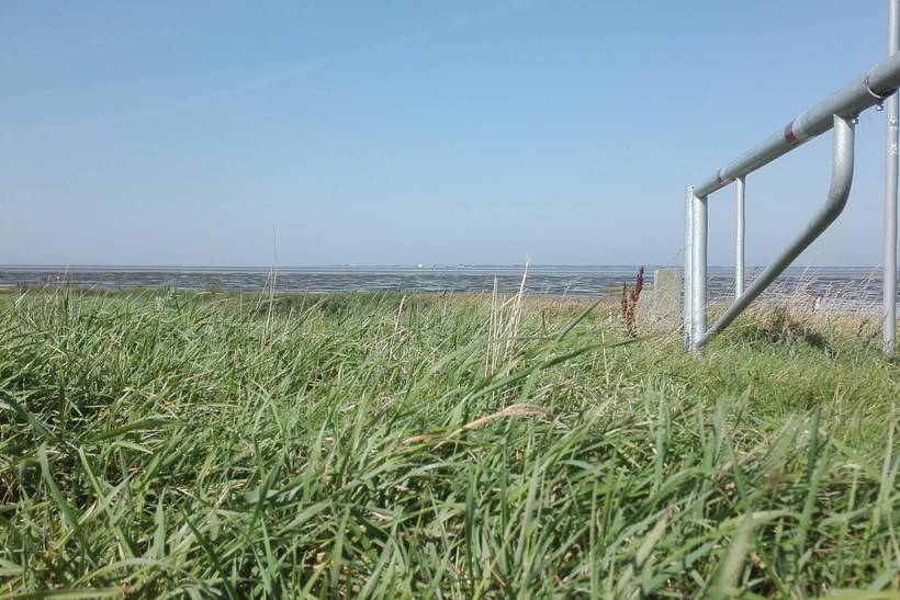 Foto von Ferienhaus FM94 in Ballum - Südjütland