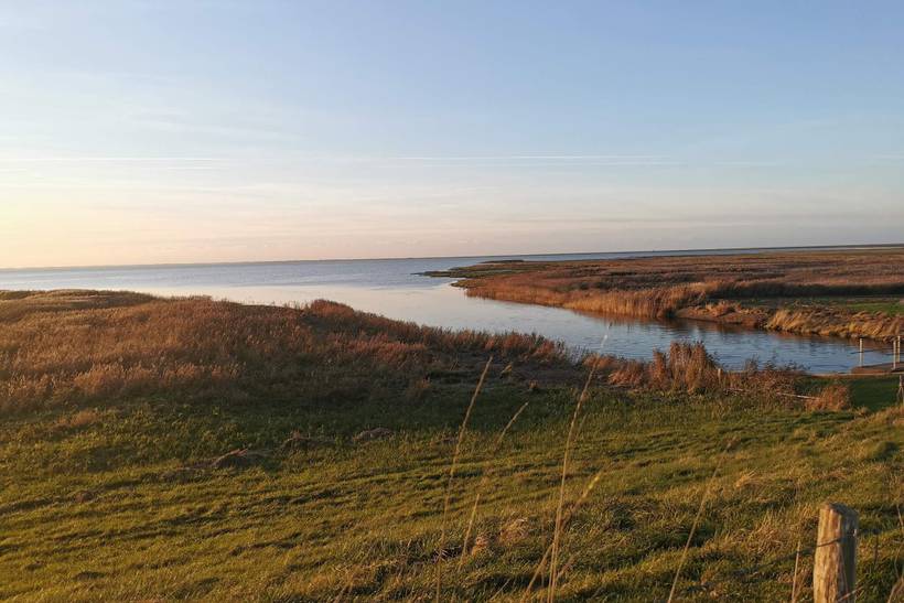 Foto von Ferienhaus FM94 in Ballum - Südjütland