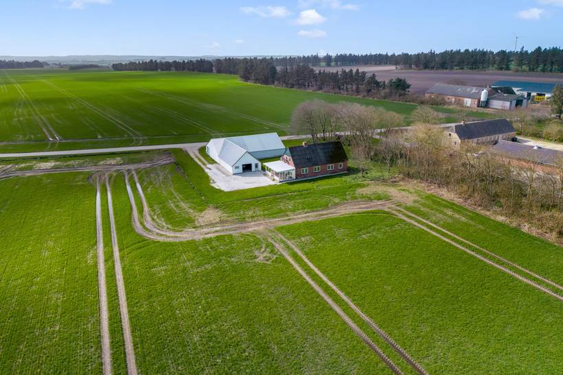 Foto von Ferienhaus FN29 in Hanstholm - Thy/Limfjord