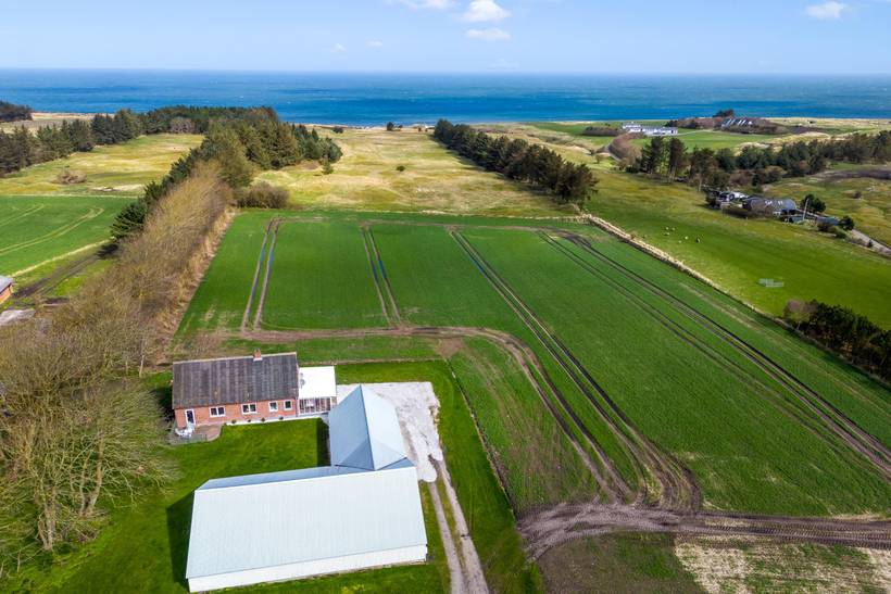 Foto von Ferienhaus FN29 in Hanstholm - Thy/Limfjord