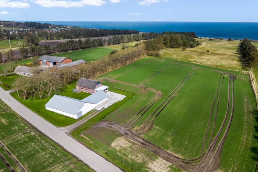 Foto von Ferienhaus FN29 in Hanstholm - Thy/Limfjord