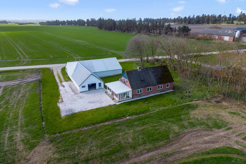 Foto von Ferienhaus FN29 in Hanstholm - Thy/Limfjord
