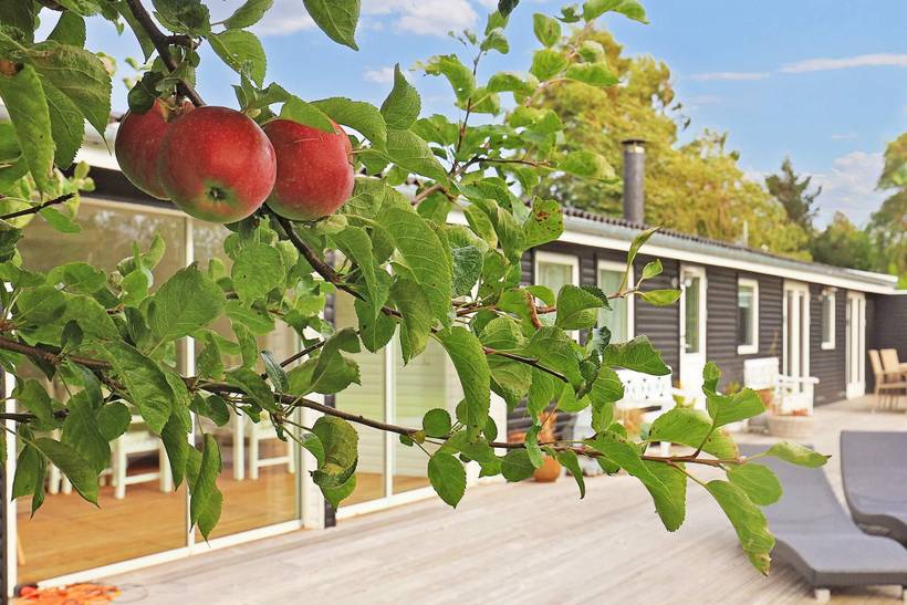 Foto von Ferienhaus FN37 in Ulvshale - Møn