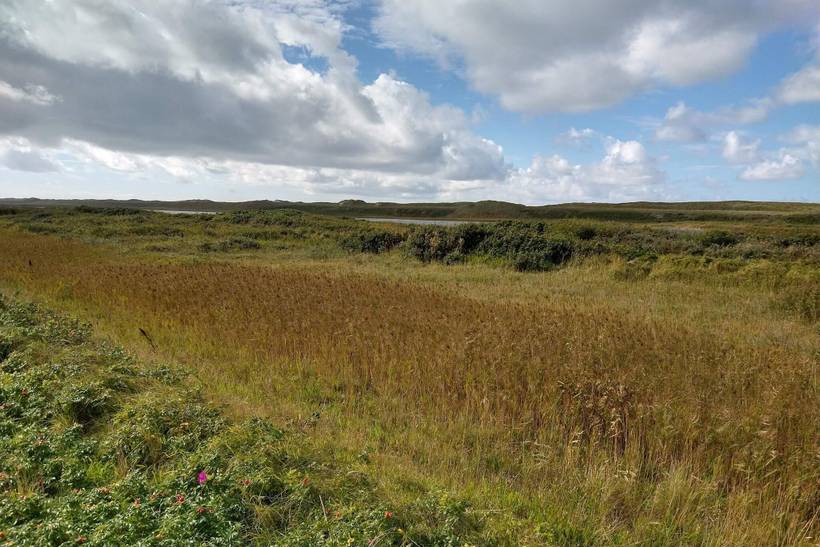 Foto von Ferienhaus FN41 in Thyborøn - Westjütland